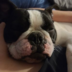 Meet your Posher, Casey